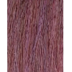 ETB Hair Permanent Color Cream 4.22 Chestnut Violet Intense 100ml