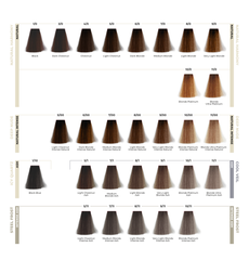 ETB Hair ColorVerse Professional Hair Dye Color Catalog – 117 Shades
